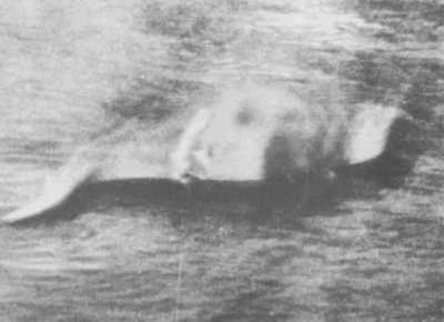 83 роки тому ми вперше «побачили» Лохнеське чудовисько