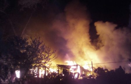 Масштабна пожежа на острові Хортиця: згоріло чотири будинки — відео