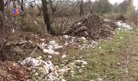 На Тячівщині екологічна небезпека: жителі влаштували смітник на дамбі - відео