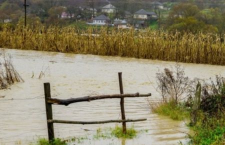 Закарпаття потопає — рівень річок піднявся до критичної точки — відео