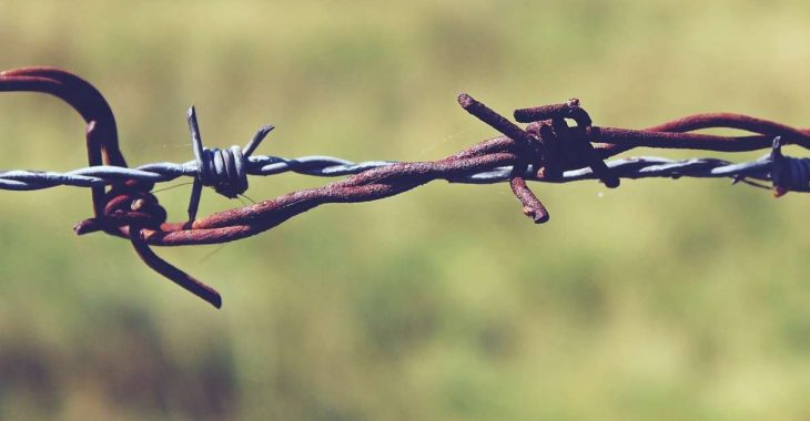 Пытки током и одиночная камера. История заложника Андрея Паламарюка Пытки током и одиночная камера. История заложника Андрея Паламарюка