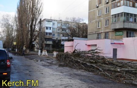 В Керчі ураган повалив дерева, в Ялті вирує хуртовина - ВІДЕО
