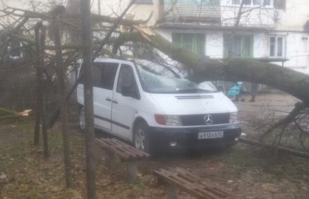 В Криму вітер повалив дерева на машини - фото
