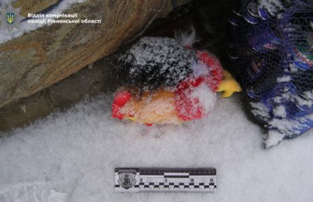 На Рівненщині на подвір'я родини з дитиною підкинули іграшку з гранатою