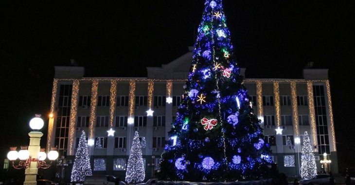 Як виглядає найдорожча ялинка України, придбана за бюджетні кошти - фото Як виглядає найдорожча ялинка України, придбана за бюджетні кошти - фото