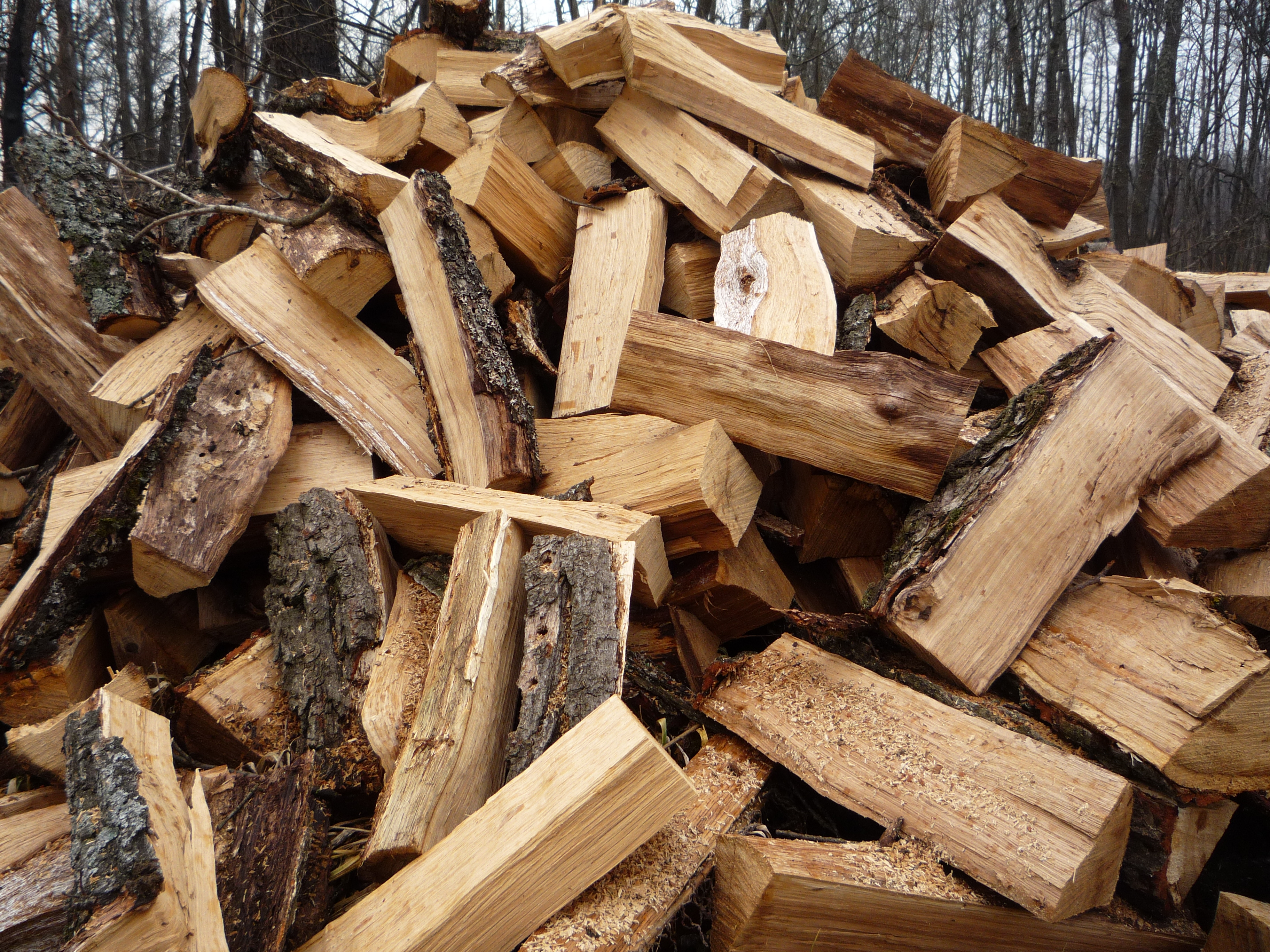 Жителі села в зоні АТО скаржаться на заборону рубати дрова в посадці