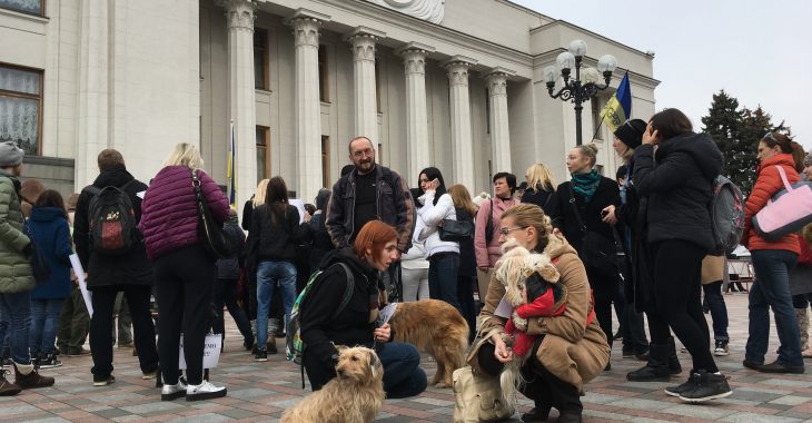 Активісти вимагають замінити штрафи на ув'язнення за знущання над тваринами Активісти вимагають замінити штрафи на ув'язнення за знущання над тваринами