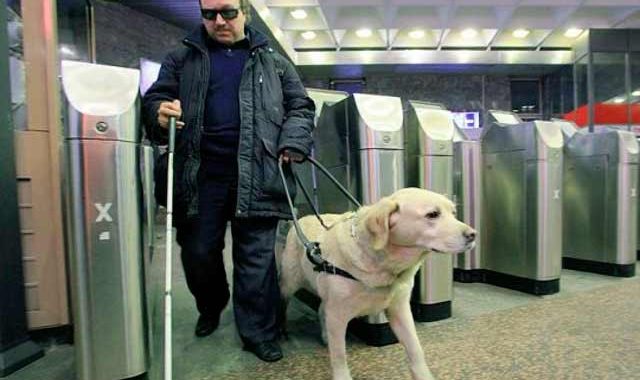 Як адаптувати метро під потреби незрячих з собаками-поводирями? Як адаптувати метро під потреби незрячих з собаками-поводирями?