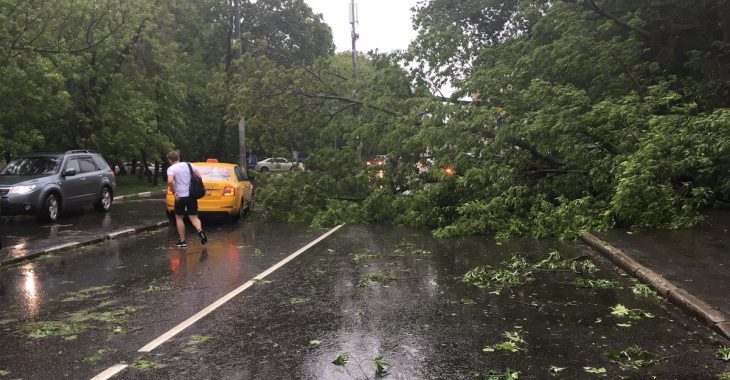 Під час негоди в Московській області один українець загинув, є поранені Під час негоди в Московській області один українець загинув, є поранені
