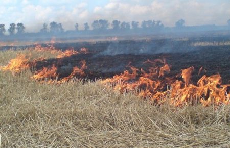 За минулу добу в Україні виникла 121 пожежа на відкритих територіях