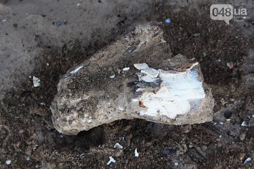 На Одещині знайшли останки мамонта (ФОТО)