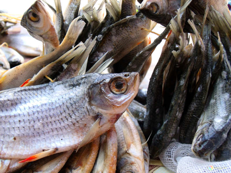 У Львові з супермаркетів  вилучили  85 кг риби через ботулізм