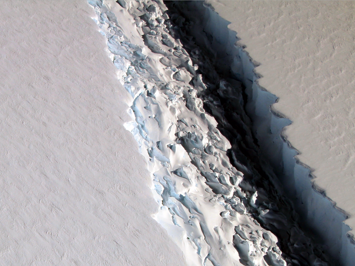 Найближчим часом від Антарктиди відколеться айсберг площею близько 5 000 кв. км (ФОТО)