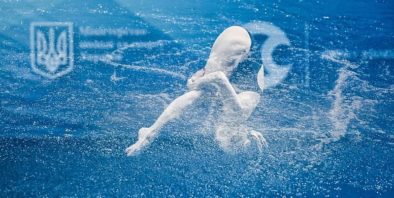 Украина вышла на первое место в медальном зачете по прыжкам в воду