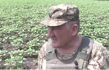 Військові розповіли, як працюють фермери на лінії розмежування (ВІДЕО)