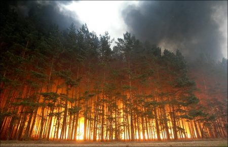 У ДСНС попередили про пожежну небезпеку в кількох областях України