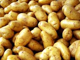 Импорт картофеля в Украине превывашет экспорт в пять раз