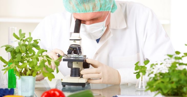 Що означає оновлений закон про державний контроль харчових продуктів Що означає оновлений закон про державний контроль харчових продуктів