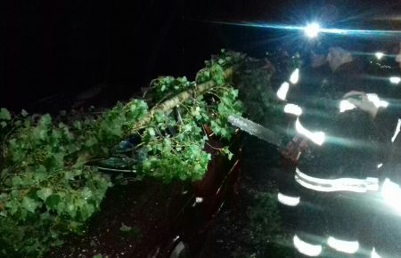 На Закарпатті через негоду 30 населених пунктів залишилися без електрики(ФОТО)