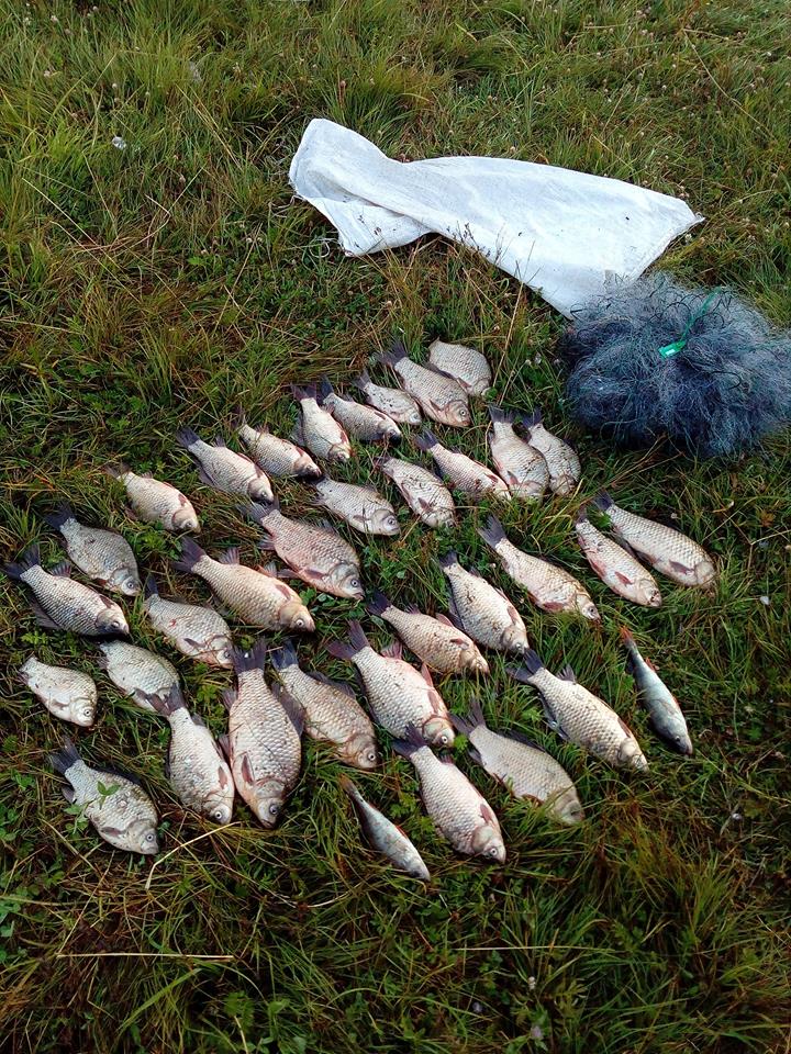 У Житомирі виявили незаконний вилов риби на понад 40 тисяч гривень