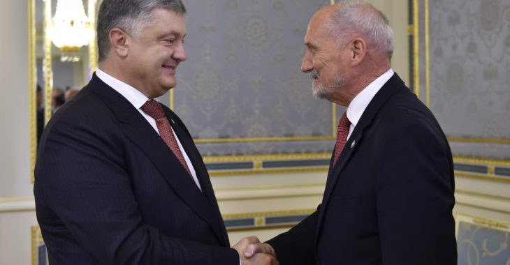 Підрозділи ЗСУ вперше візьмуть участь у військових навчаннях Вишеградської четвірки Підрозділи ЗСУ вперше візьмуть участь у військових навчаннях Вишеградської четвірки