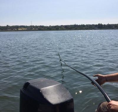 Прикордонники виявили підводний спиртопровід, прокладений з Молдови до України (ВІДЕО) Прикордонники виявили підводний спиртопровід, прокладений з Молдови до України (ВІДЕО)