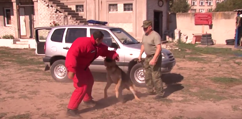 На Луганщину прибув десант кінологів зі службовими собаками  (ВІДEO)