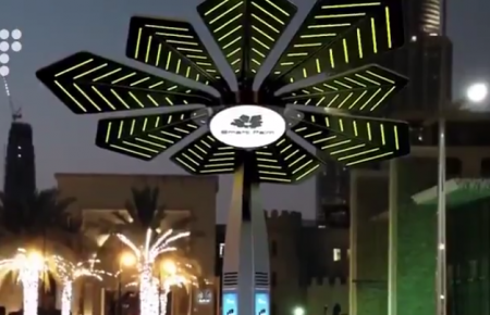 В Дубаї «розумні» пальми заряджають телефони та гаджети (ВІДЕО)