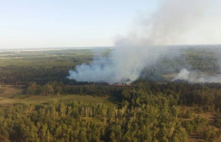 Пожежа на Полтавщині: згоріло два гектари лісу (ФОТО)