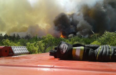 Масштабна пожежа під Карачуном: згоріло 4 гектари лісу (ВІДЕО)