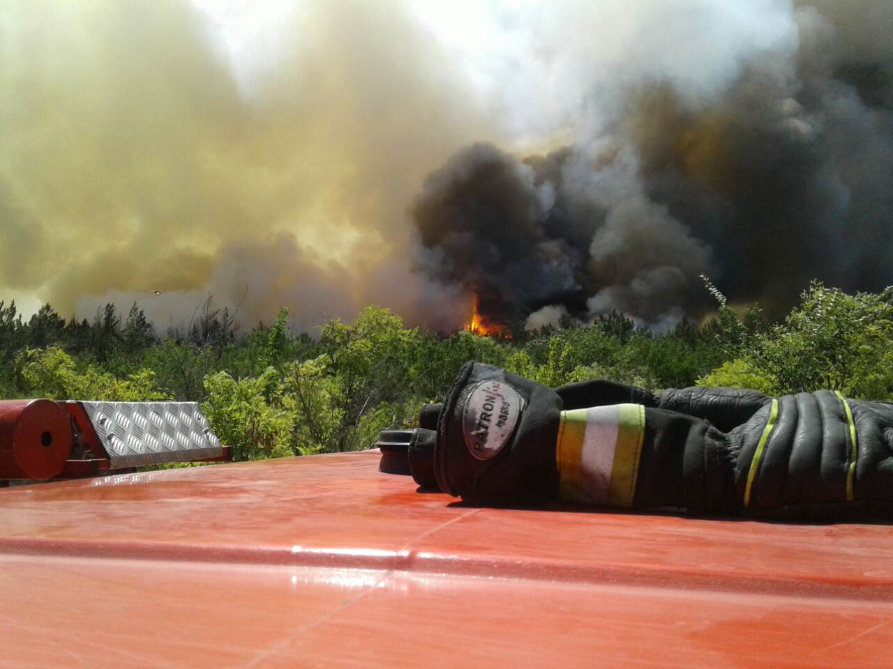 Масштабна пожежа під Карачуном: згоріло 4 гектари лісу (ВІДЕО)