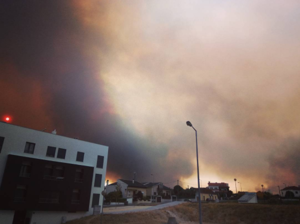 «Я впервые поняла, что такое катастрофа», — украинка о пожаре в Португалии (ВИДЕО)