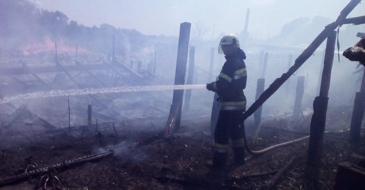 На Луганщині біля лінії розмежування горить 150 га лісу На Луганщині біля лінії розмежування горить 150 га лісу