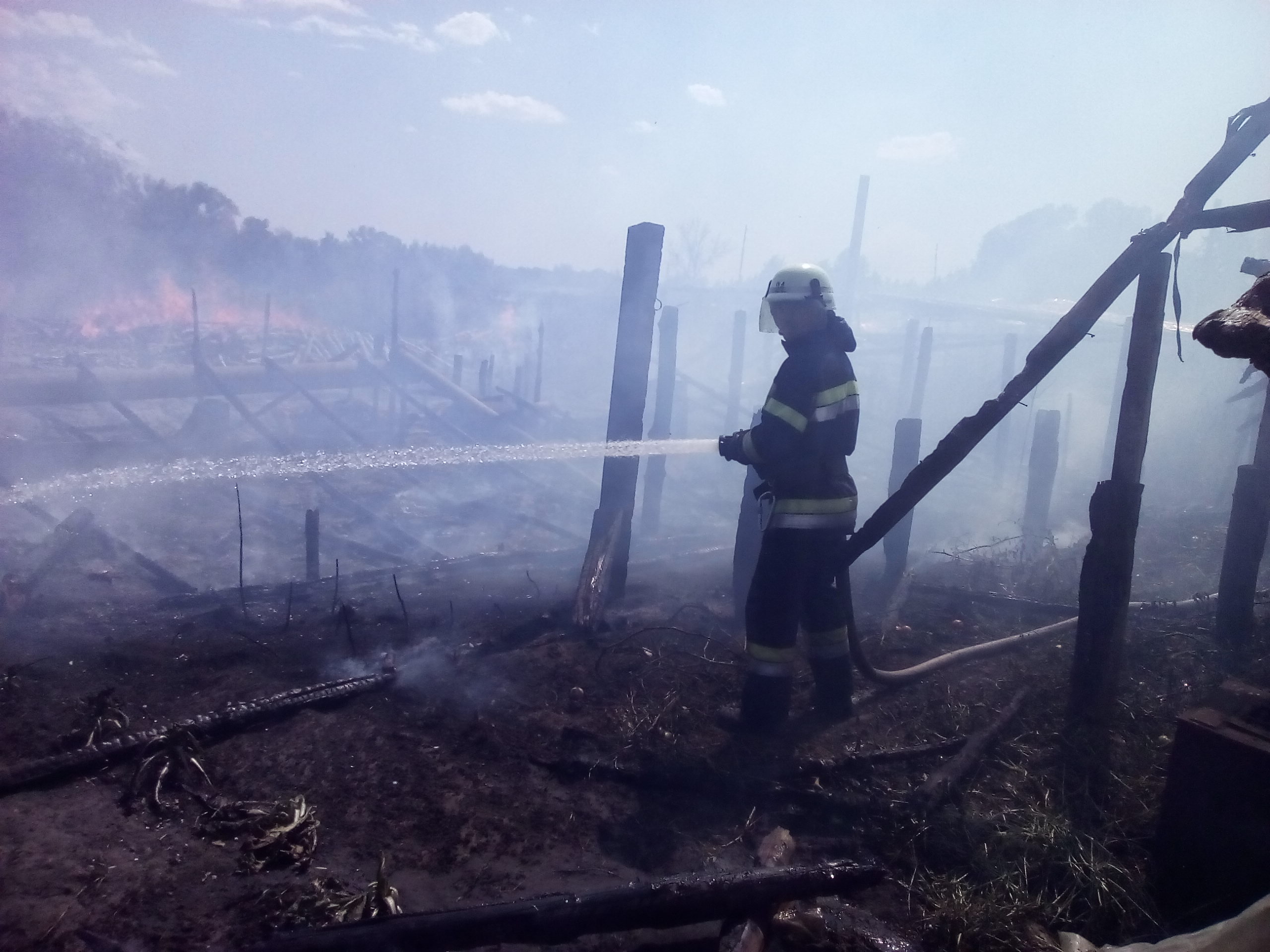 На Луганщині біля лінії розмежування горить 150 га лісу