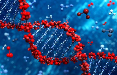 Вчені вперше змінили ДНК ембріона за допомогою молекулярних ножиць