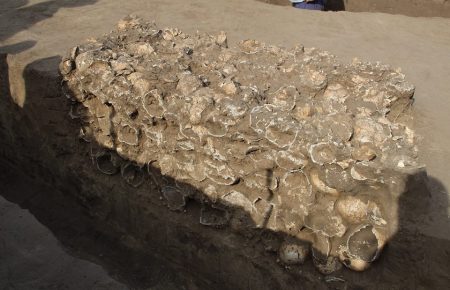 У Чигирині археологи виявили колективне захоронення людських черепів (ФОТО)