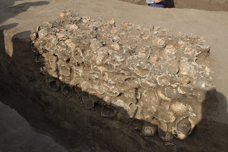 У Чигирині археологи виявили колективне захоронення людських черепів (ФОТО)