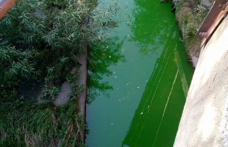 В Києві продовжується епідемія фарбування води - постраждала річка Либідь
