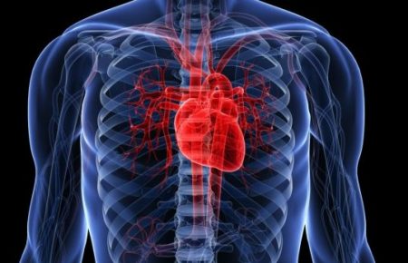 Що таке інфаркт та як йому запобігти?