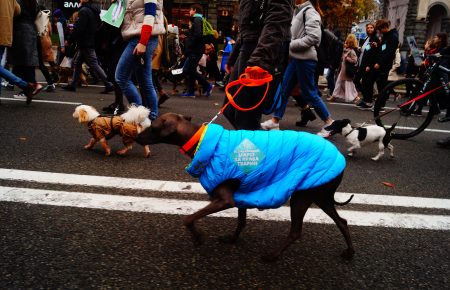 Дорослі, діти, собаки та коти вийшли на марш за права тварин в Києві (ФОТОРЕПОРТАЖ)