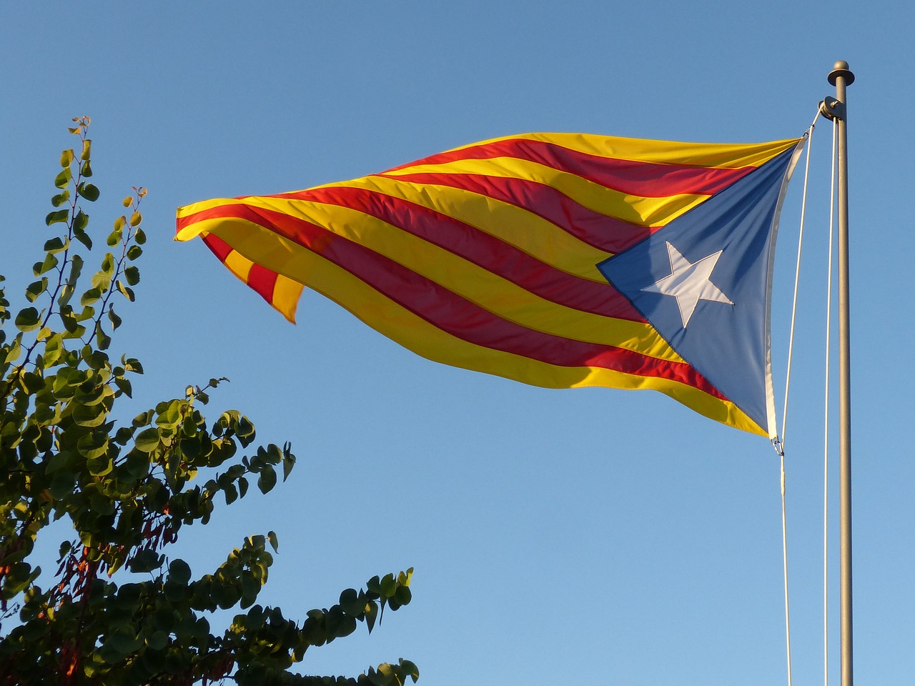 У Каталонії бюлетені дозволили друкувати вдома, вони без спецзахисту, — журналістка