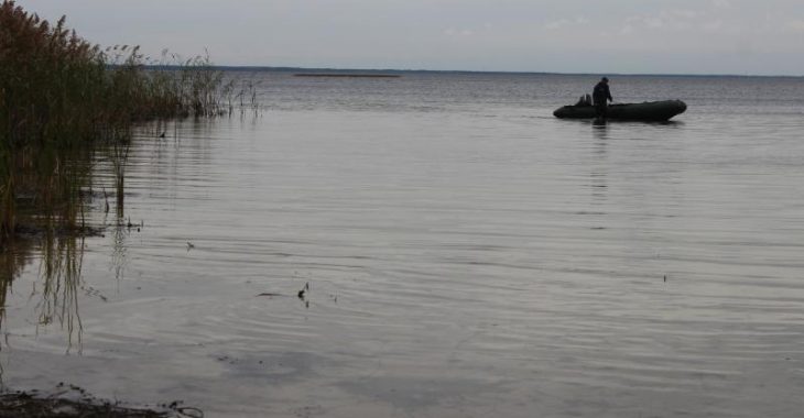 На Київському водосховищі виявили дві авіабомби (ФОТО) На Київському водосховищі виявили дві авіабомби (ФОТО)