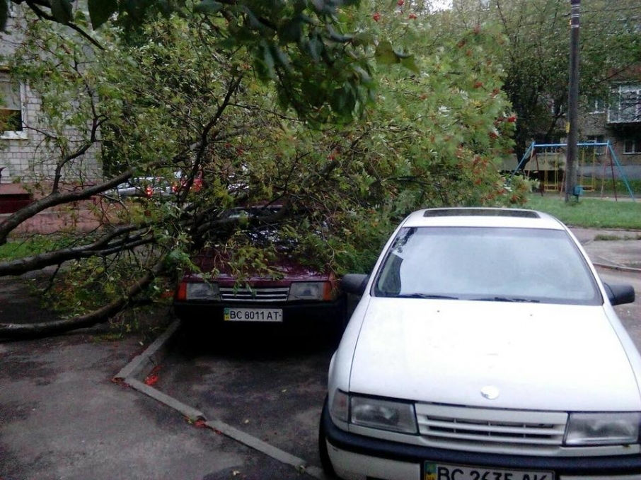 На Львівщині уночі буря повалила дерева, обірвала дроти та зірвала дах(ФОТО)