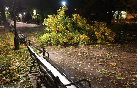 Ураган «Ксав’єр» у Польщі: загинули 2 людини, півмільйона без світла