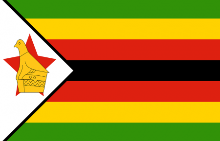 Чи відбувся військовий переворот в Зімбабве? Оцінку має надати «Африканський союз»