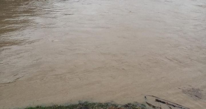 На річках України підніметься рівень води На річках України підніметься рівень води