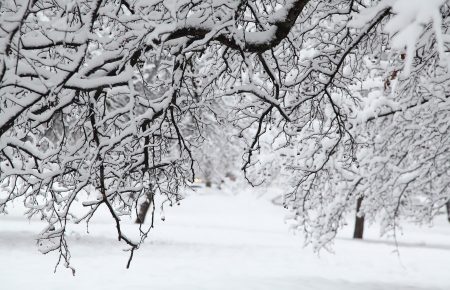 Синоптики попереджають про мокрий сніг та ожеледицю у Києві та області