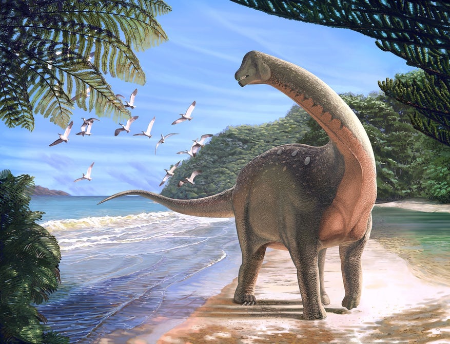 У Єгипті знайшли динозавра, що жив 80 мільйонів років тому (ФОТО)