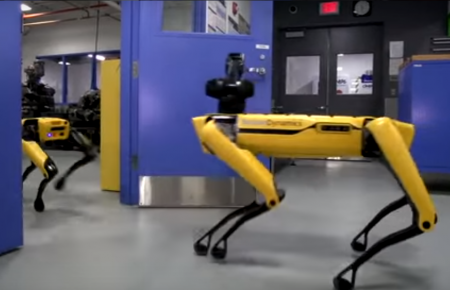 У США показали чотирилапих роботів, які можуть виконувати роль швейцара(ВІДЕО)