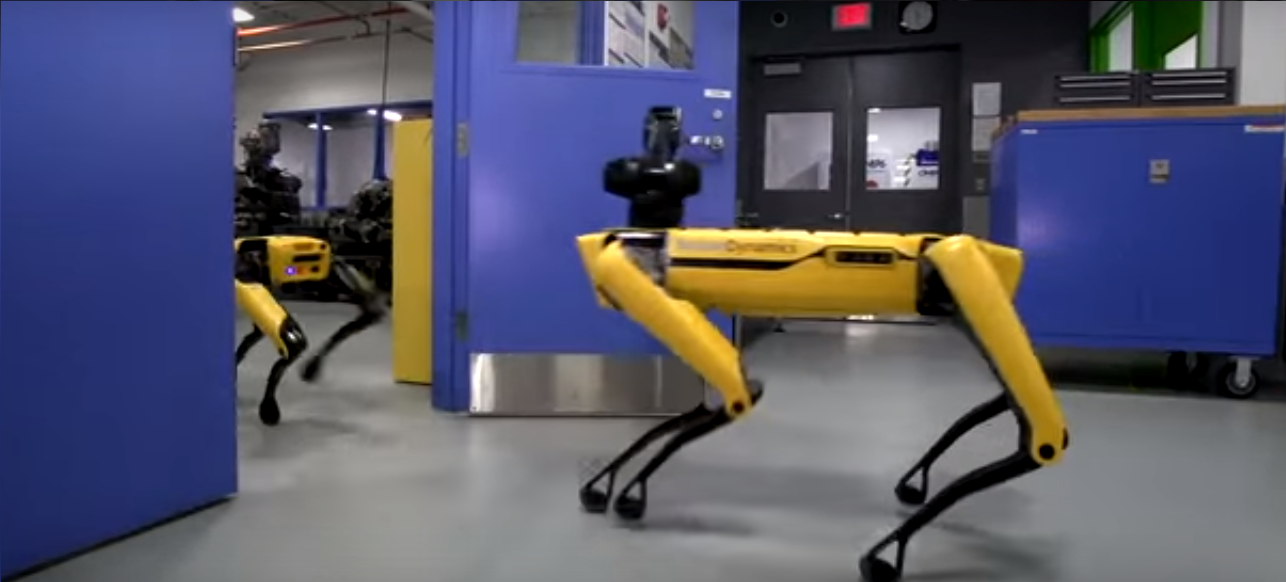 У США показали чотирилапих роботів, які можуть виконувати роль швейцара(ВІДЕО)